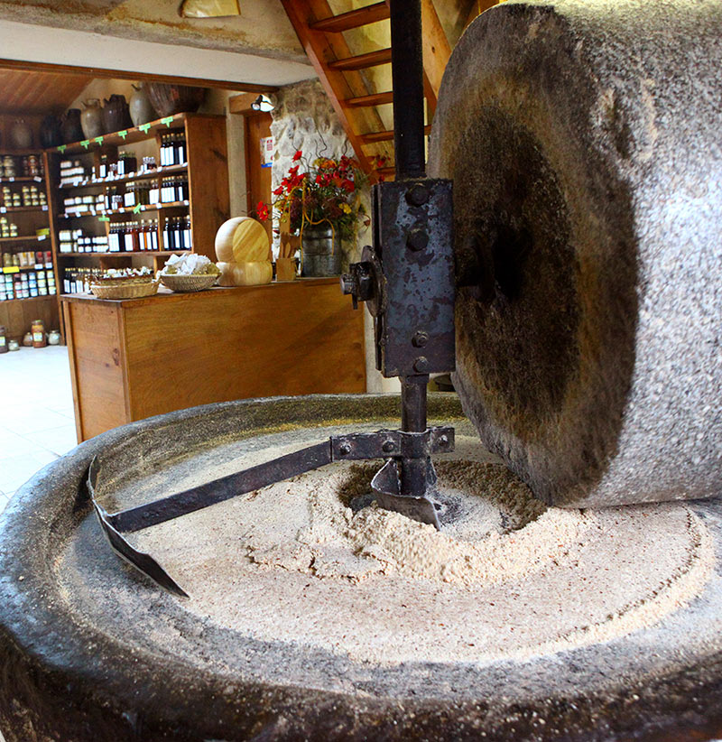 Concassage de fruits avec la meule en pierre de granite de la Sioule